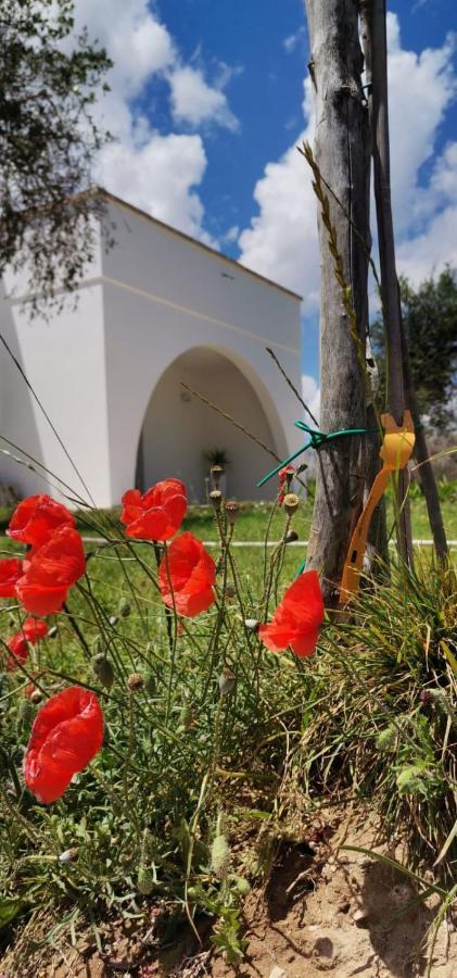 B&B Villa Bello Otranto Exterior foto